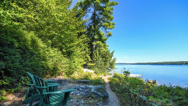 Un sendero de grava con sillas Adirondack verdes y una mesa de picnic, que conduce a un muelle junto a un lago tranquilo rodeado de un bosque denso.
