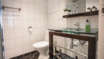 Ducha, secador de pelo, toallas