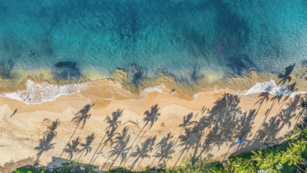 Vista aérea de una playa con agua turquesa cristalina, orilla arenosa y sombras de palmeras.
