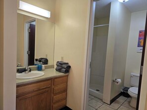 Shower, hair dryer, shampoo