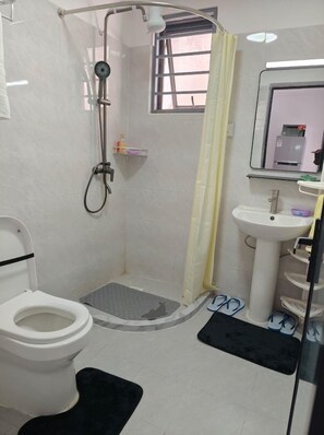 Dusche, Handtücher, Seife, Toilettenpapier