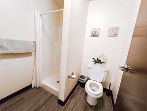 Shower, hair dryer, shampoo