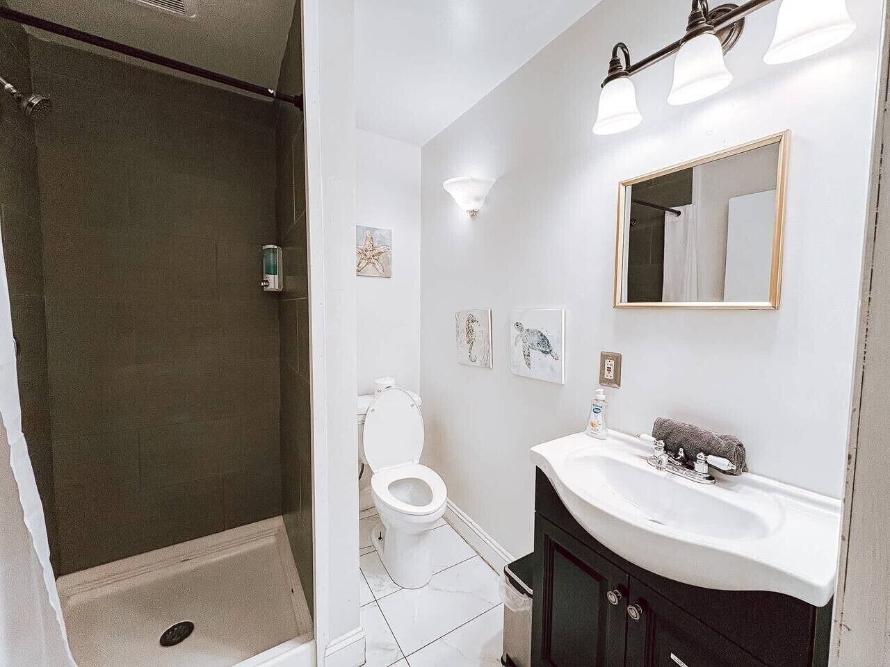 Shower, hair dryer, towels, shampoo