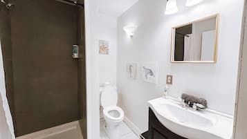 Shower, hair dryer, towels, shampoo
