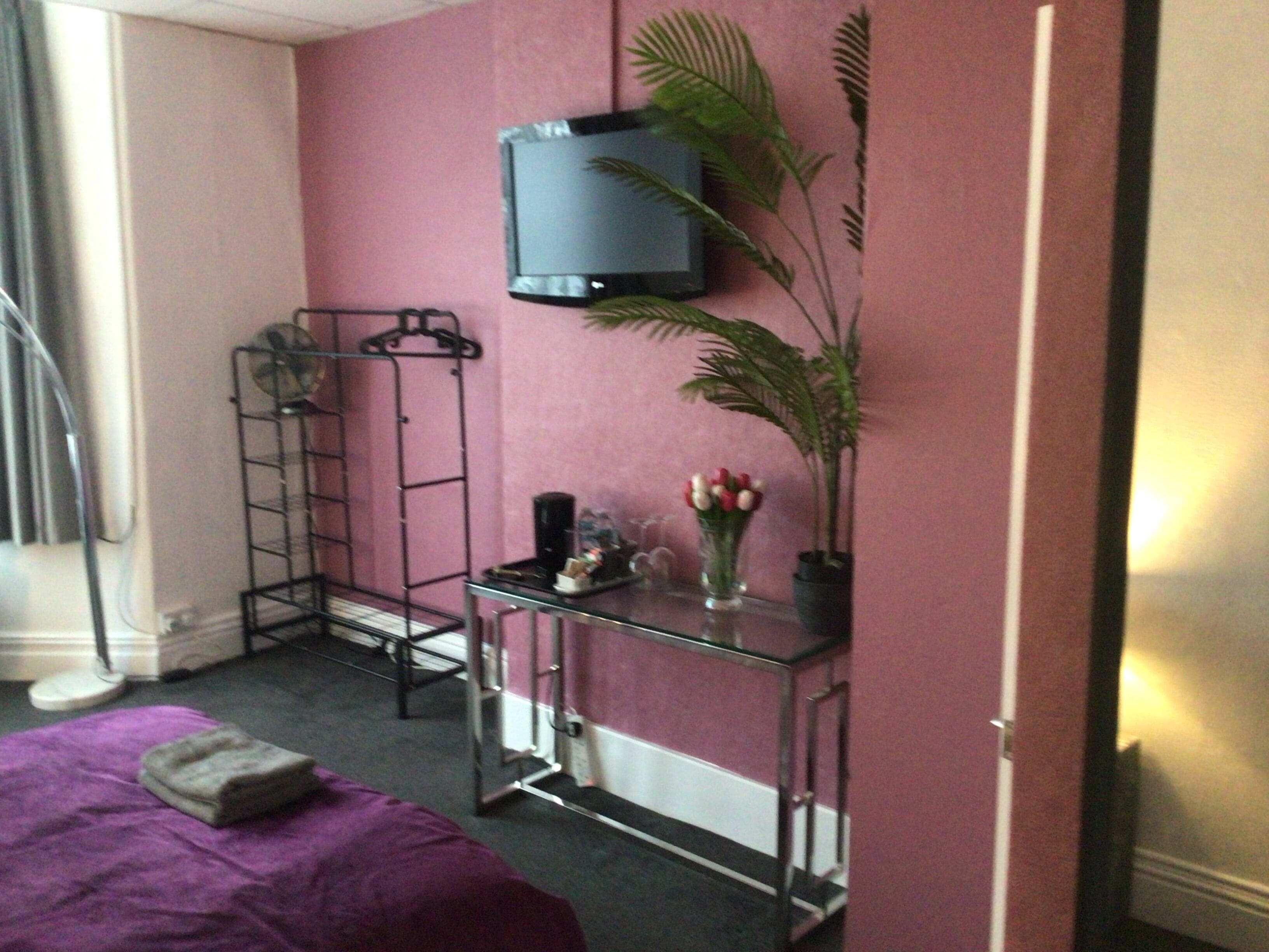 Een kamer met een roze wand, een bed met een paars deken, een aan de muur bevestigde televisie, een plant en een kleine tafel met een bloemenvaas.