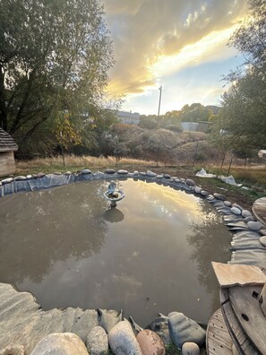 Spa - Tranquil farmhouse coi pond chickens duck eggs and pigmy goats, in New Castle co (New Castle)