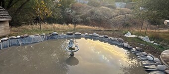 Tranquil farmhouse coi pond chickens duck eggs and pigmy goats, in New Castle co