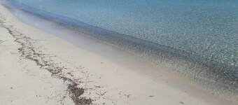 拉卡薩內爾文托民宿  