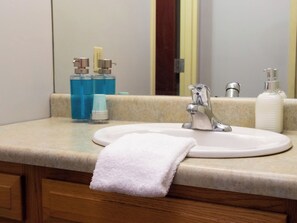 Shower, hair dryer, shampoo