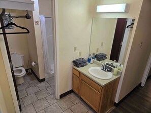 Shower, hair dryer, shampoo