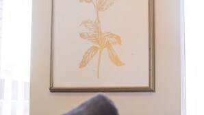 A framed botanical print on a wall, a rolled gray towel on a bed, and a window with blinds.