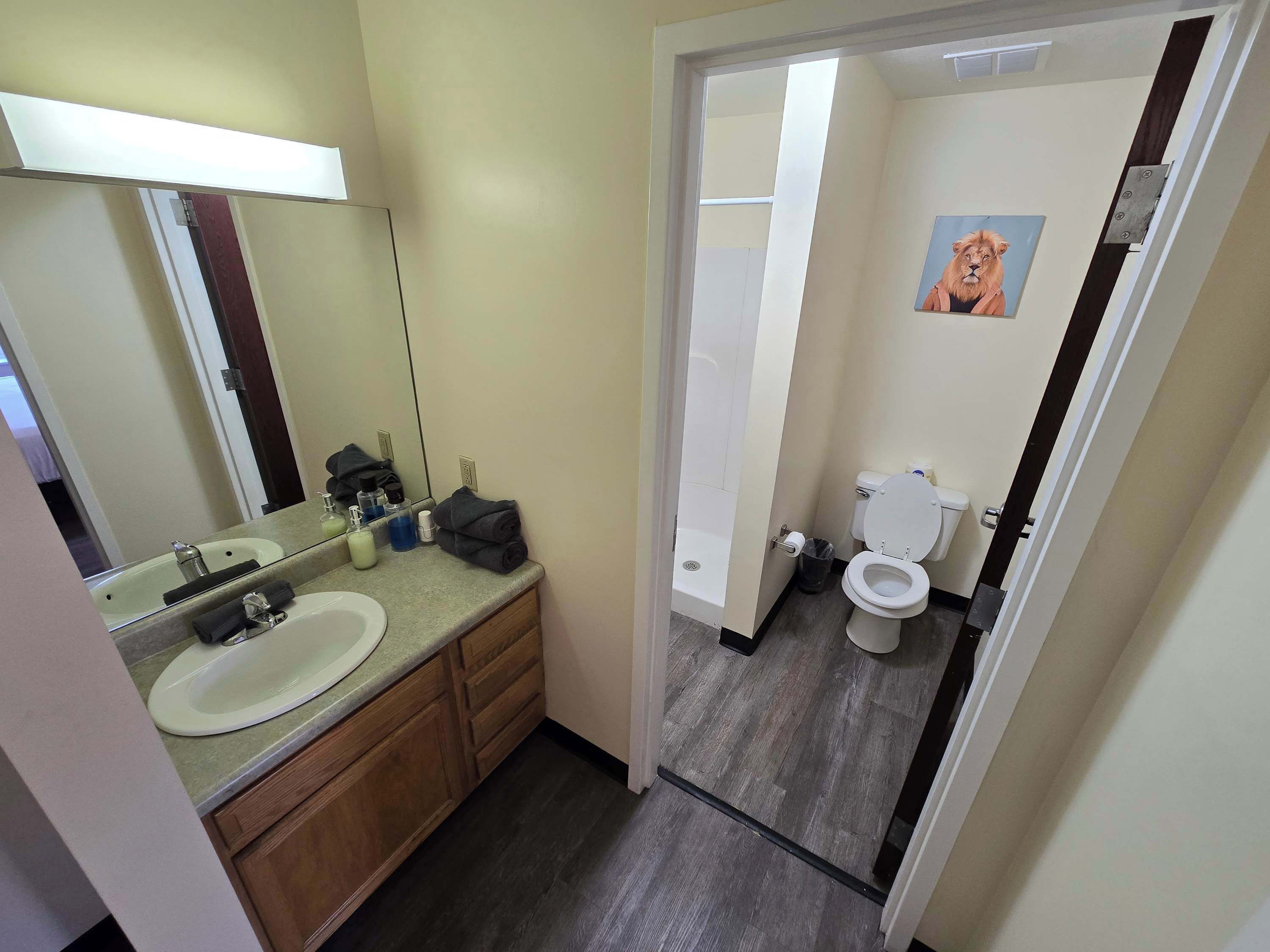 Shower, hair dryer, towels, shampoo