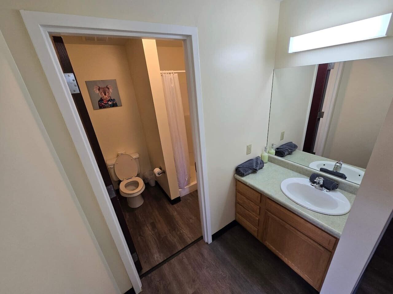 Shower, hair dryer, towels, shampoo