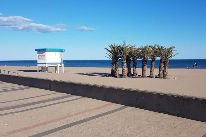 Une tour de surveillance pour les sauveteurs et des palmiers sur une plage.