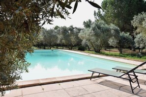Une piscine avec des chaises longues et des oliviers en arrière-plan.