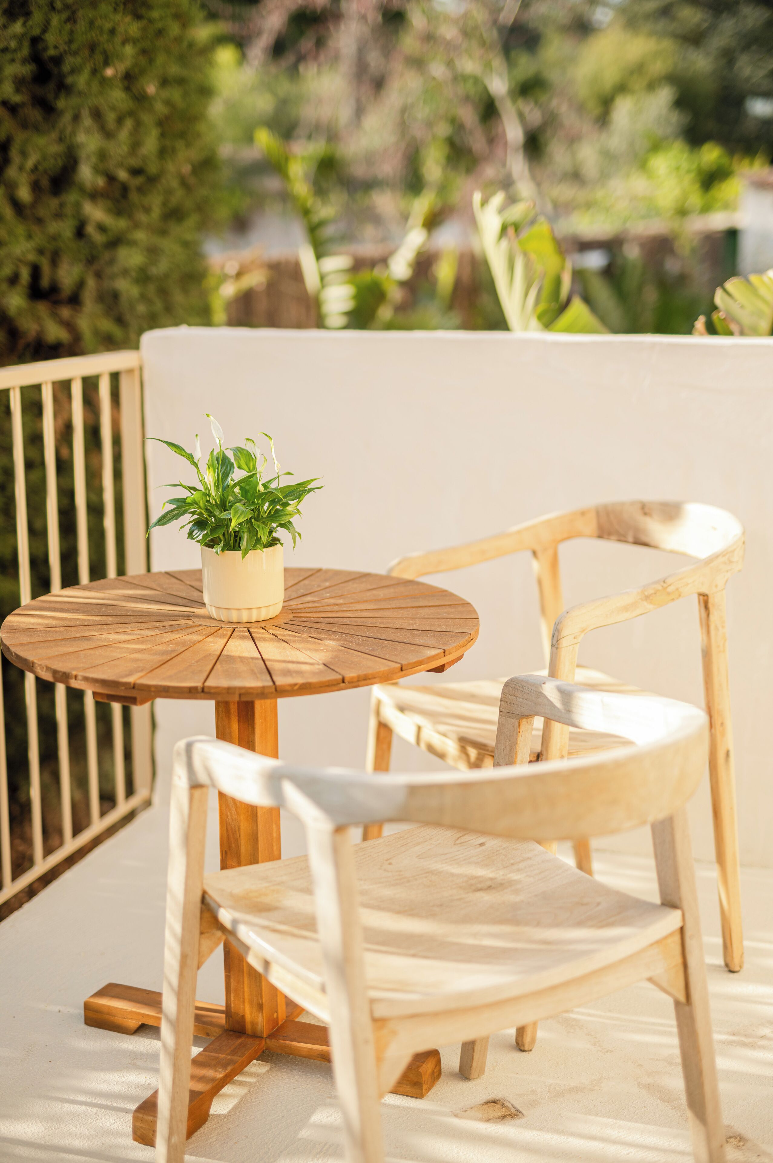 A round wooden table with a potted plant, accompanied by two wooden chairs.