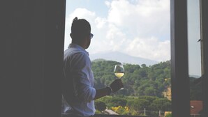 A person holding a glass of white wine, standing by a window with a view of a green landscape and a mountain in the distance.
