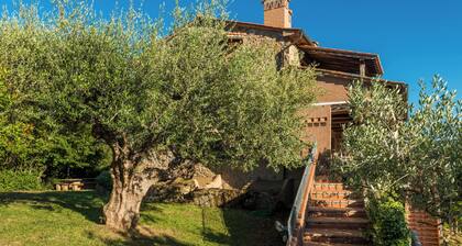 Panoramic, lighted pool, large garden, in the woods, 15 min from the sea (1)