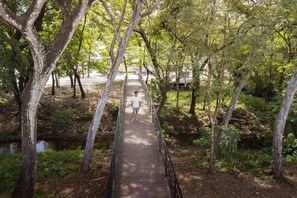 Property grounds - Stay & Surf in Style at The Point, Playa Avellanas (Playa Avellanas)