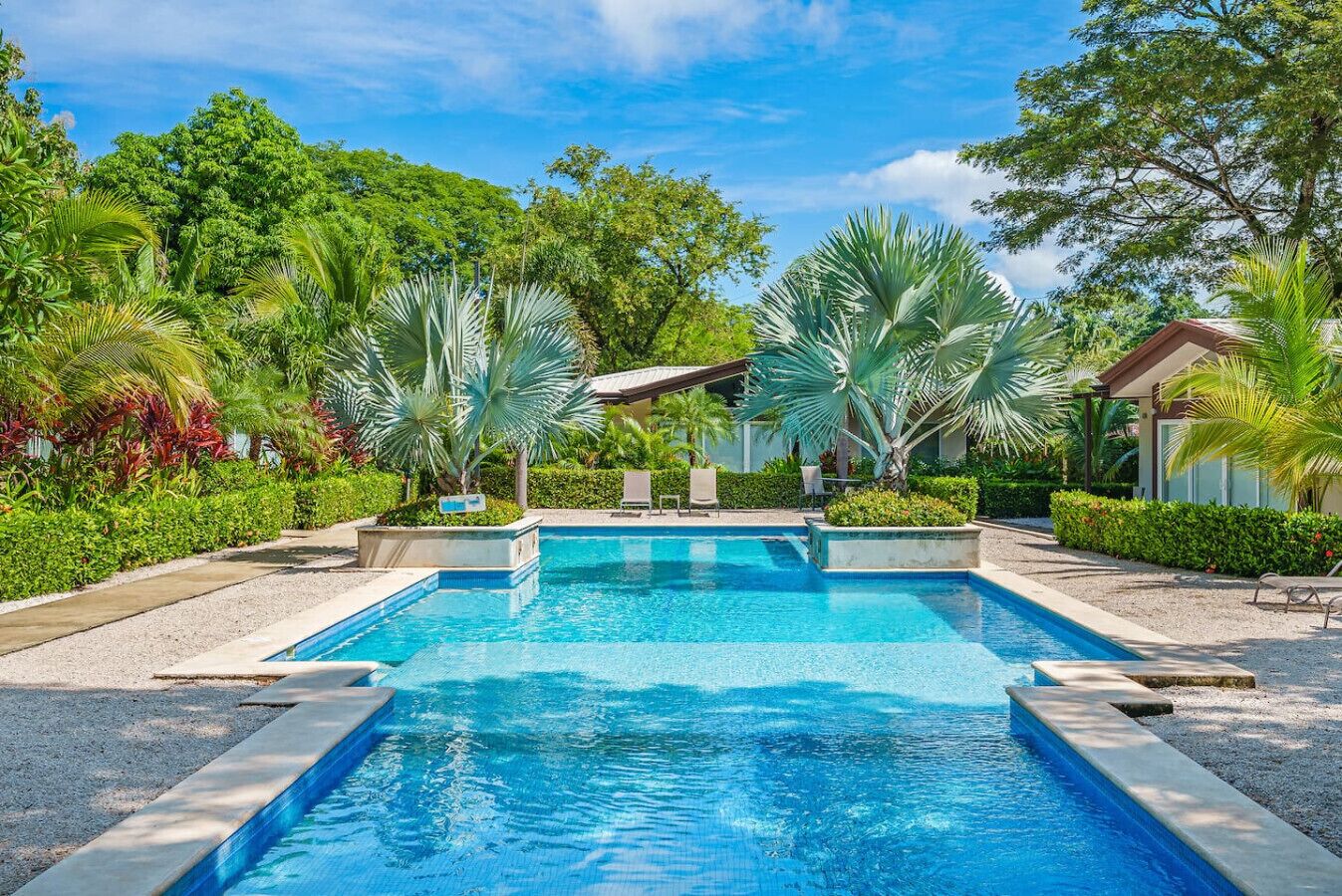 A rectangular swimming pool with a clear blue water surface, surrounded by well-maintained tropical vegetation and a small building with a sloped roof in the background.