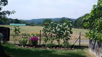 Een omheind tuin met verschillende planten en bloemen, een grasveld en een verre weidsheid van heuvels.