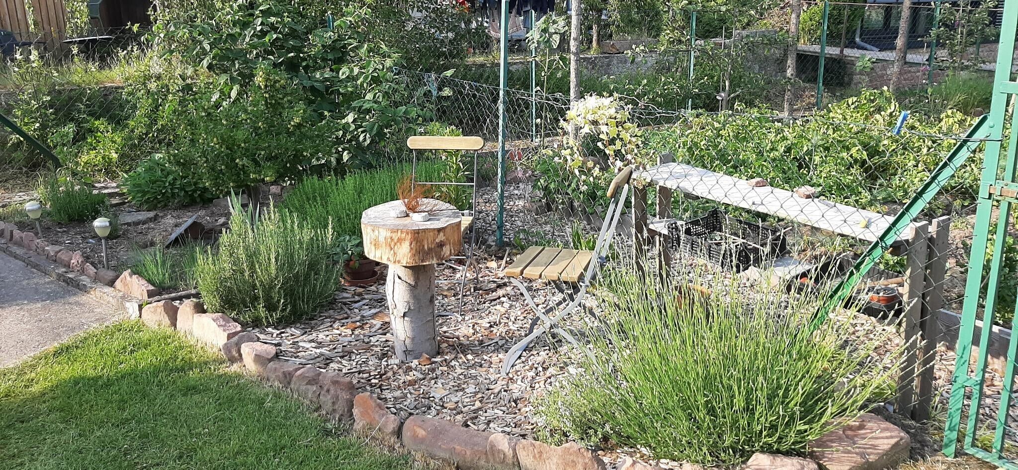 Ein Garten mit einem Vogelbad aus Holz, einem Kiesweg und verschiedenen Pflanzen.