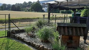 Un jardin clos, avec une petite construction en bois, peut-être un abri de jardin, et un portail en métal.