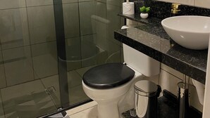 A modern bathroom with a glass shower enclosure, a toilet, a sink, and a mirror.