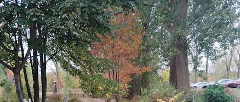 Miscellaneous