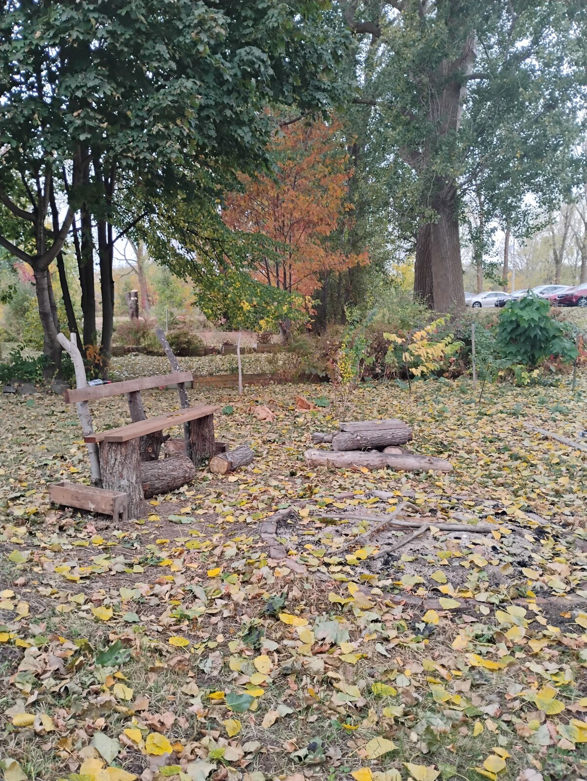 Image de profil de lâhĂŽte