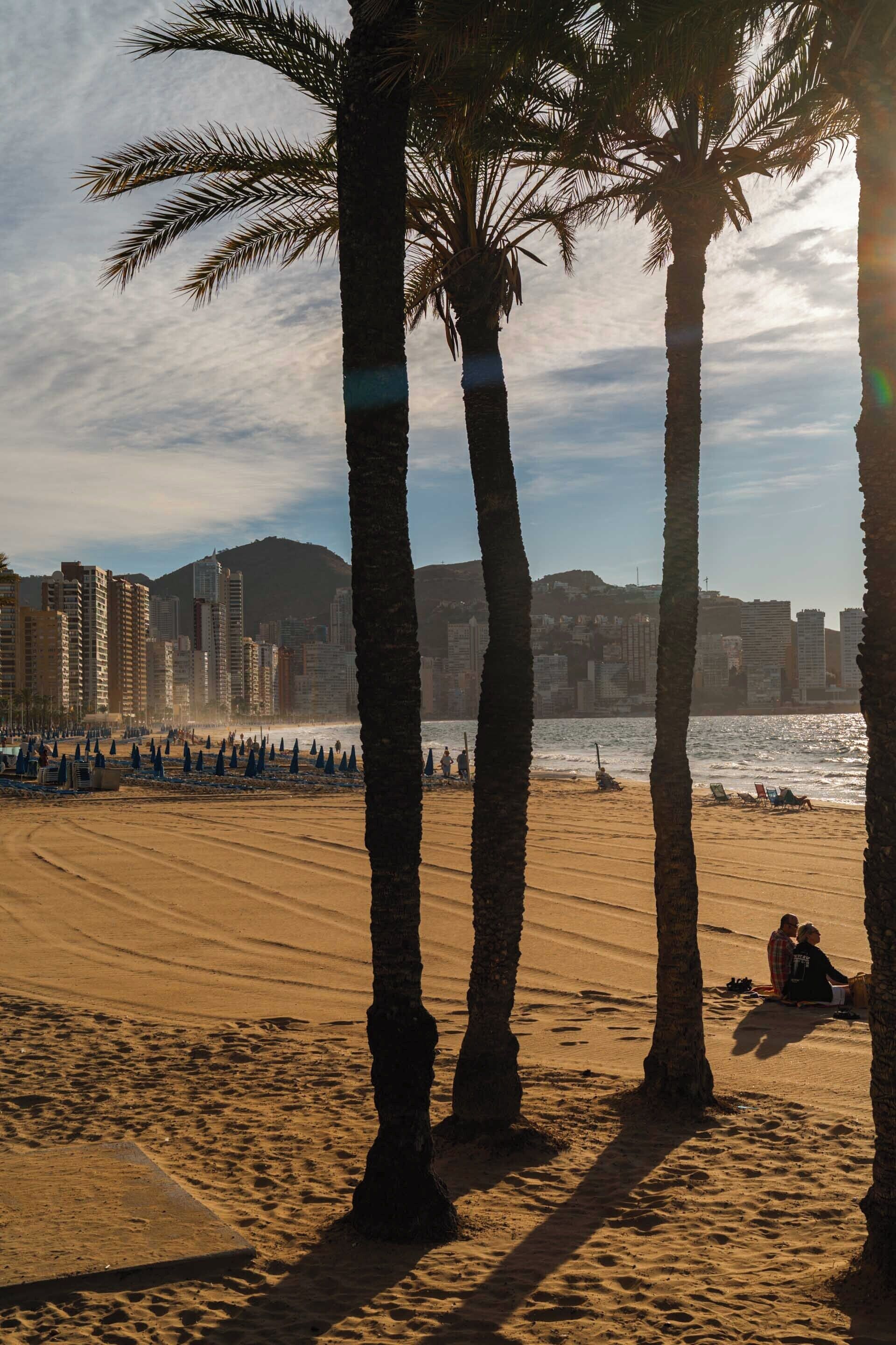Una playa con palmeras, una orilla arenosa y un paisaje urbano al fondo.