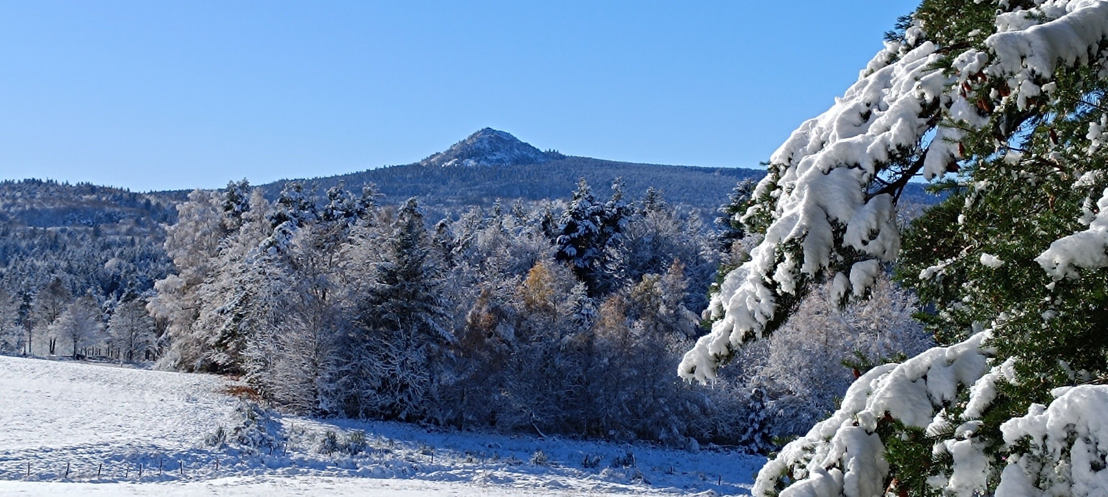 Paesaggio innevato con una montagna sullo sfondo.