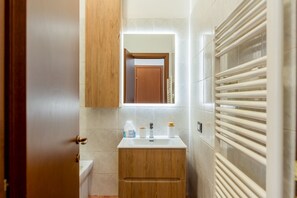 Shower, hair dryer, bidet, towels