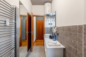 Shower, hair dryer, bidet, towels