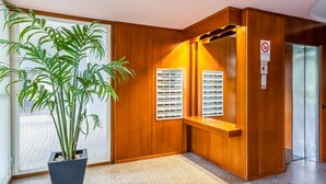Un intérieur en bois agrémenté d’une plante en pot, d’un banc et d’un présentoir fixé au mur.
