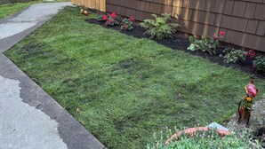 Ein gepflegter Garten mit Holzlattenzaun, Briefkasten und verschiedenen Pflanzen und Blumen.