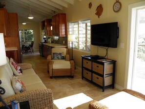 Smart TV - "Up On The Rocks" SolVillasUSVI (St John)