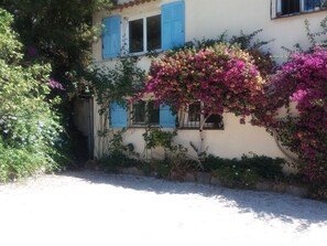 A building with blue shutters, a gravel driveway, and flowering plants.