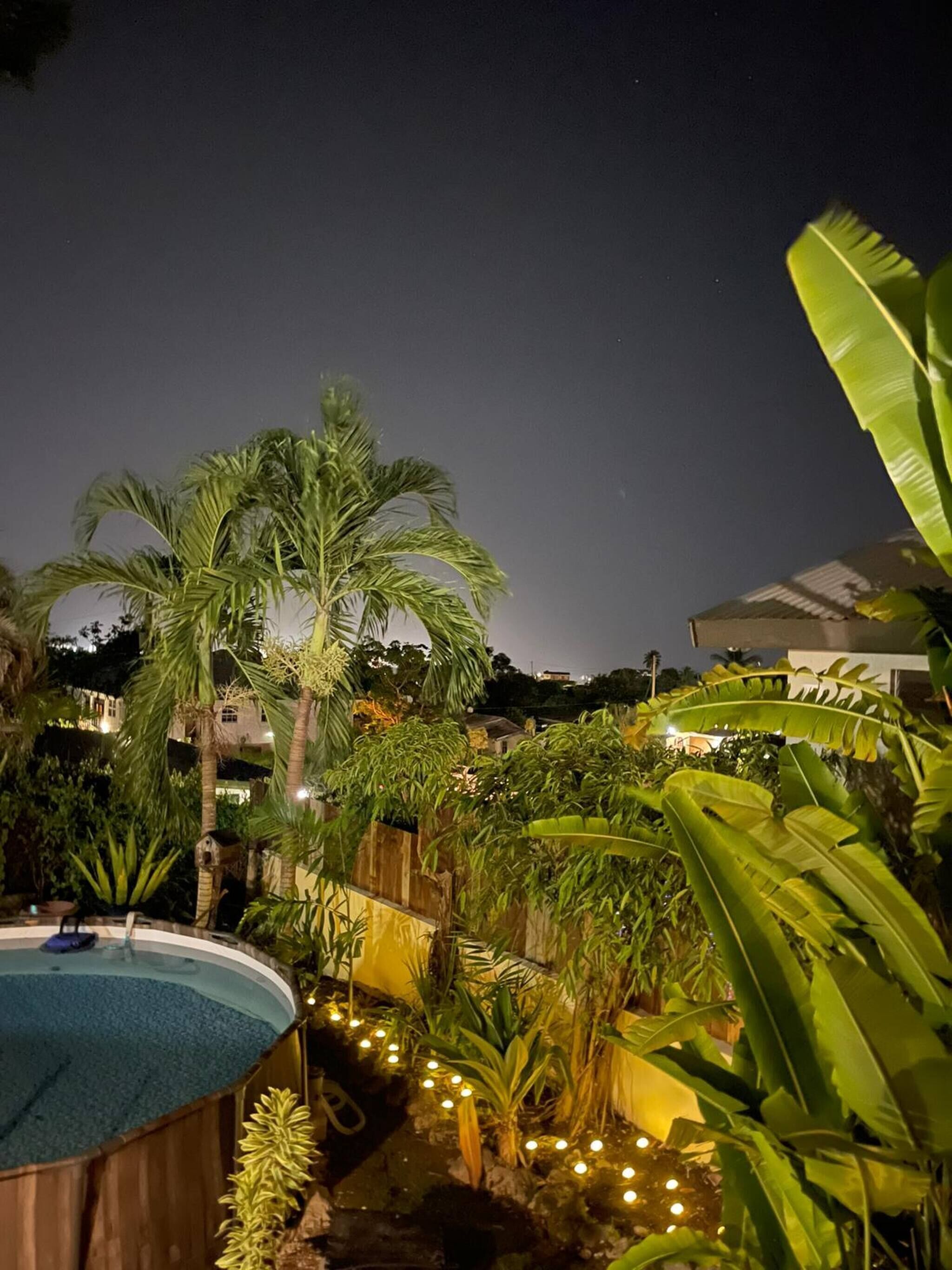 A nighttime garden with a swimming pool, palm trees, and string lights.
