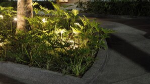 A modern building with a concrete facade, a landscaped garden with various plants, and a seating area under a tree. - Íz Hotel Conceito (Goiânia)