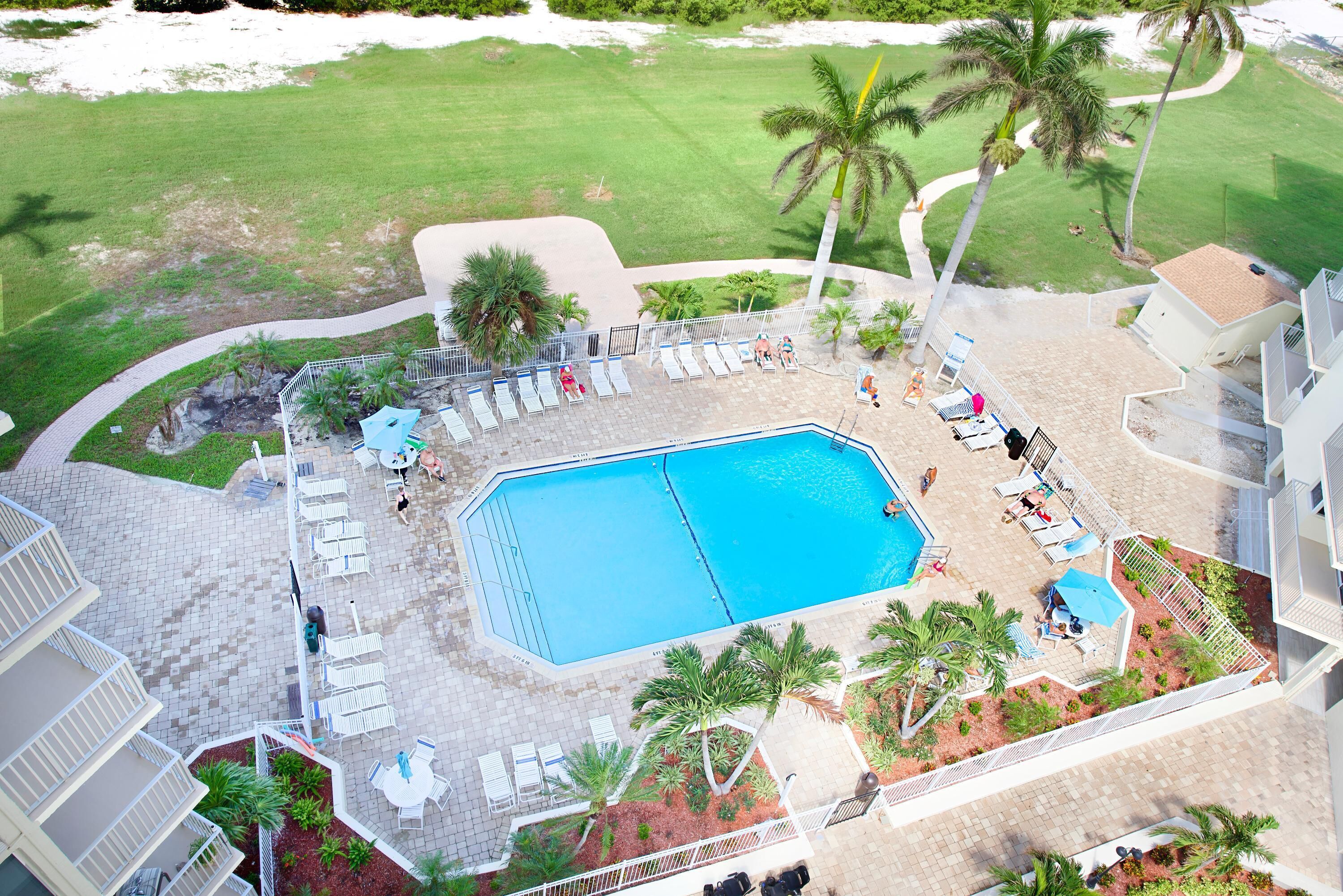 Un espace piscine aménagé sur le toit, avec des chaises longues, des palmiers et une piscine à l’eau d’un bleu cristallin.
