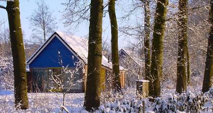 Enjoy a comfortable stay in the IJssel Comfort bungalow for 4 people at Vakantiepark de Sallandshoeve, surrounded by the beauty of Overijssels Salland nature.