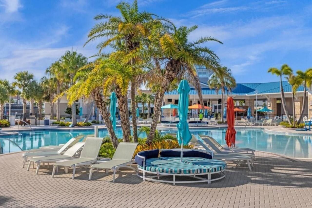 A poolside area with lounge chairs and umbrellas, palm trees, and a building in the background.