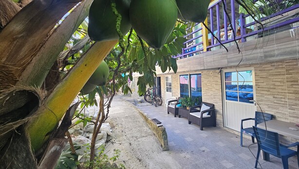 A courtyard with a seating area, a bicycle, and a building with a balcony. - Posada Cedar Valley  (Providencia)