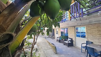 32-inch TV with digital channels