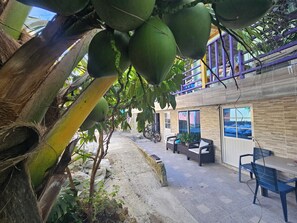 A courtyard with a seating area, a bicycle, and a building with a balcony. - Posada Cedar Valley  (Providencia)