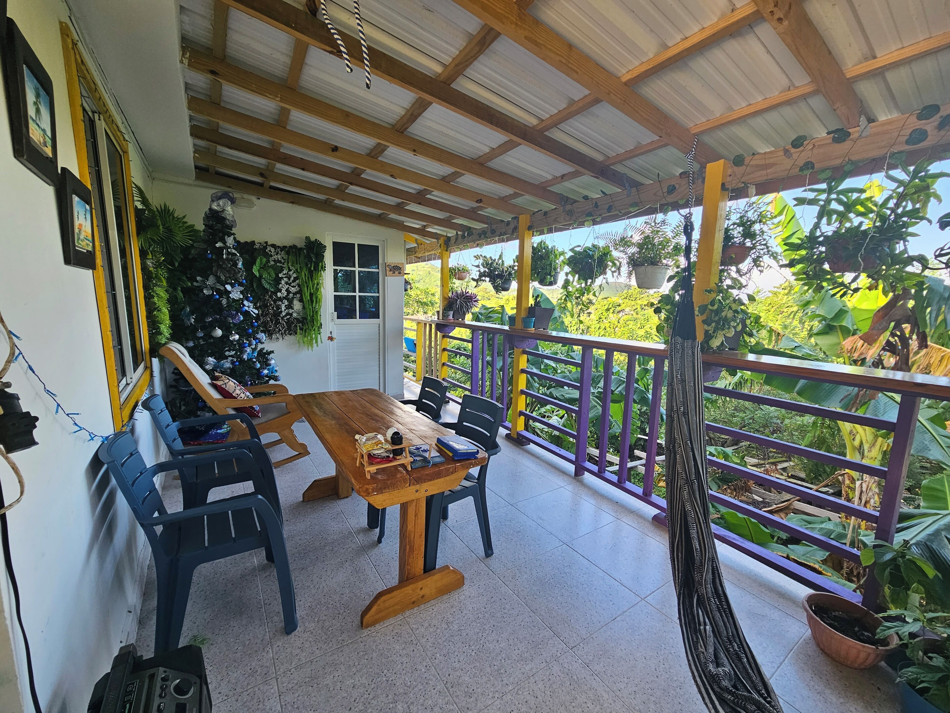 A covered patio with a wooden table and chairs, surrounded by potted plants and a view of lush greenery.