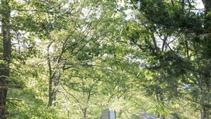 Een chalet met een grindpad, omringd door bomen.