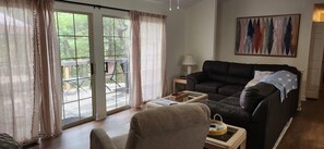 Smart TV, DVD player, books, video library