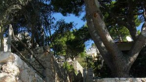 Una escalera de piedra con peldaños que ascienden, bordeada por muros de piedra y árboles.